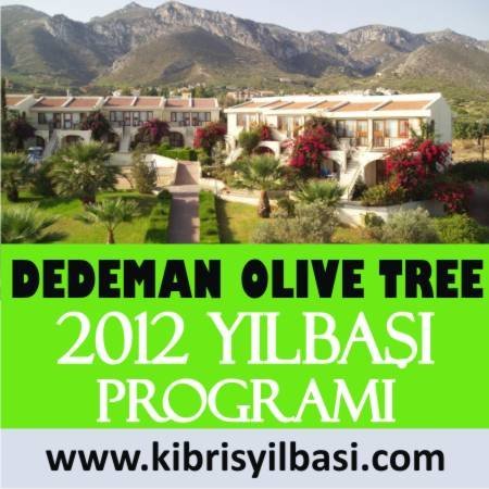 Dedeman Olive Tree 2012 Yılbaşı Programı